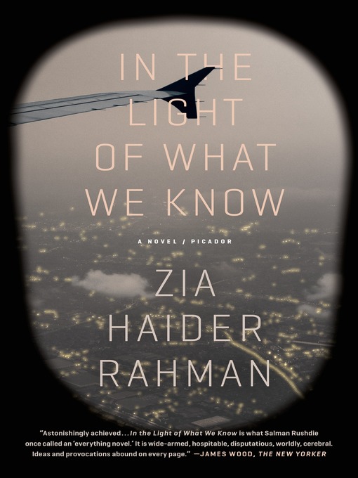 Title details for In the Light of What We Know by Zia Haider Rahman - Wait list